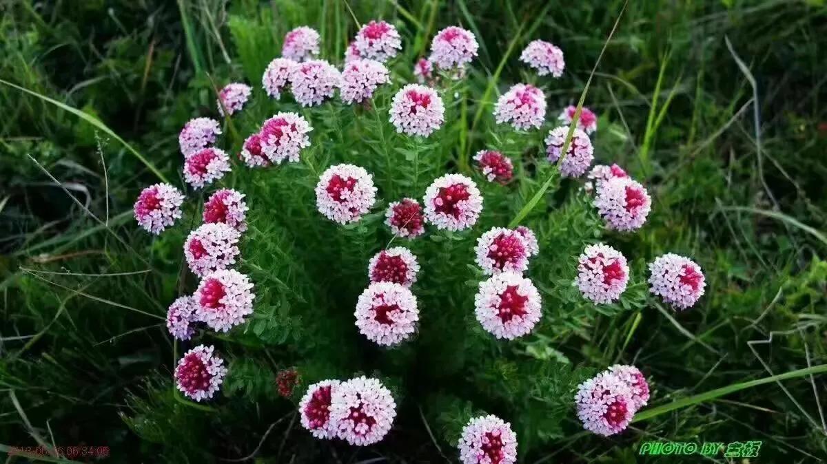 我不知道水能不能洗掉牛皮癣但我会尝试我会坚持不痒是最好的效果