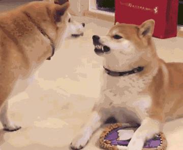 女友刚洗完澡该怎么回复,女朋友洗完澡冷得很该怎么回复