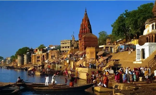 孟山都为什么能控制种子,种子巨头孟山都