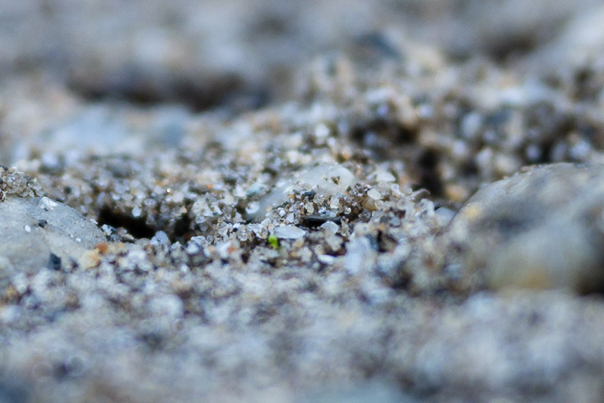 尼康z24-120f4s使用体验,尼康z100-400评测