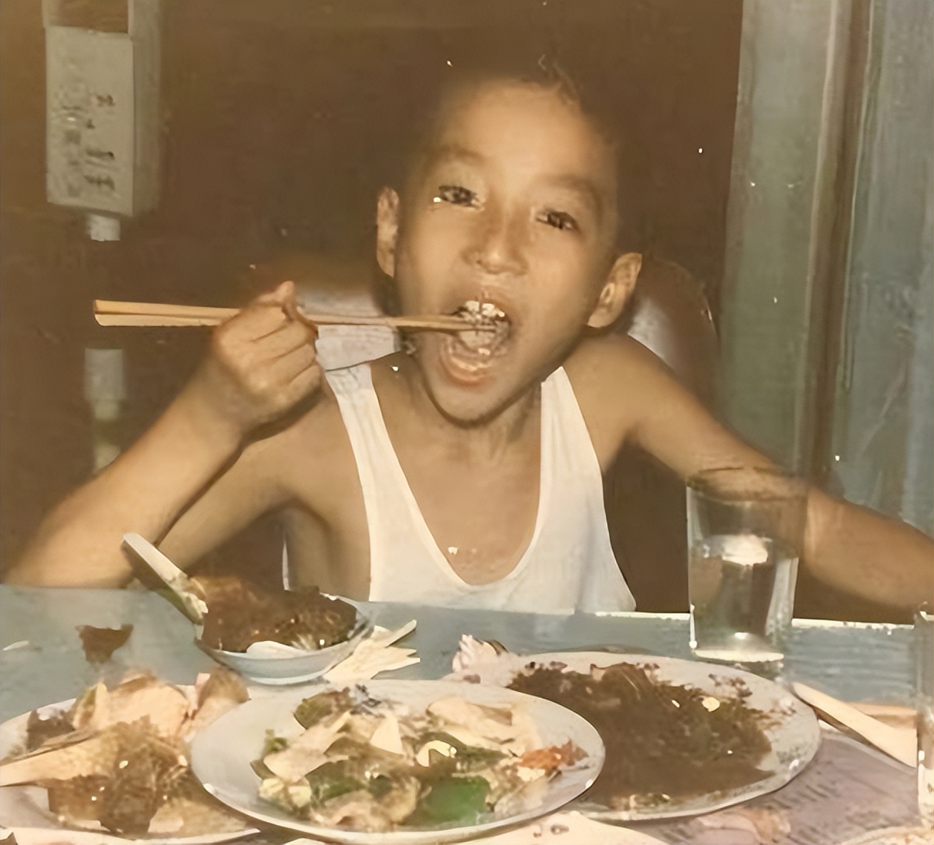 刘翔成为世界冠军的艰苦历程,世界冠军刘翔现在干什么呢