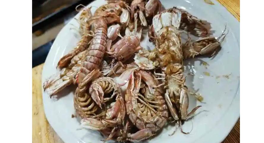 日照海洋公园海底世界门票,日照海洋公园海底世界适合老人