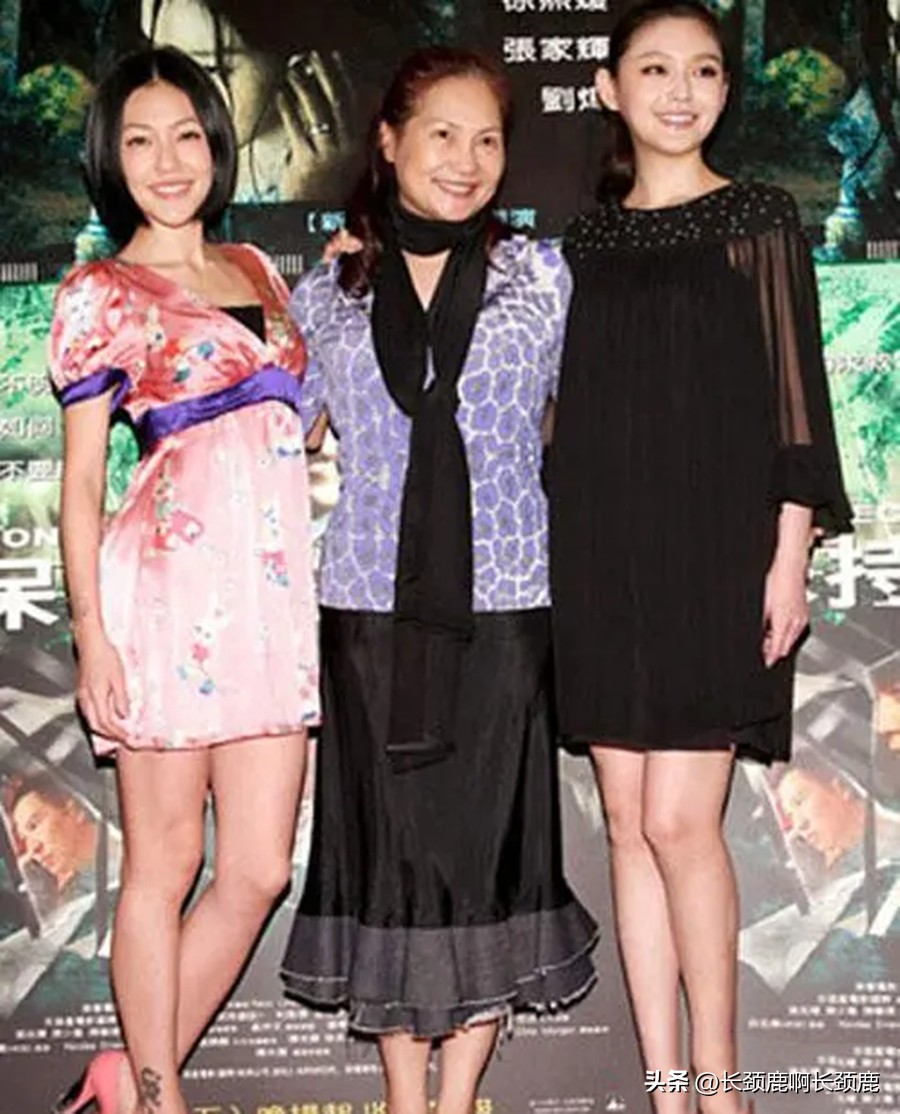 大s是自恋型还是表演型,大s为什么现在变温柔了