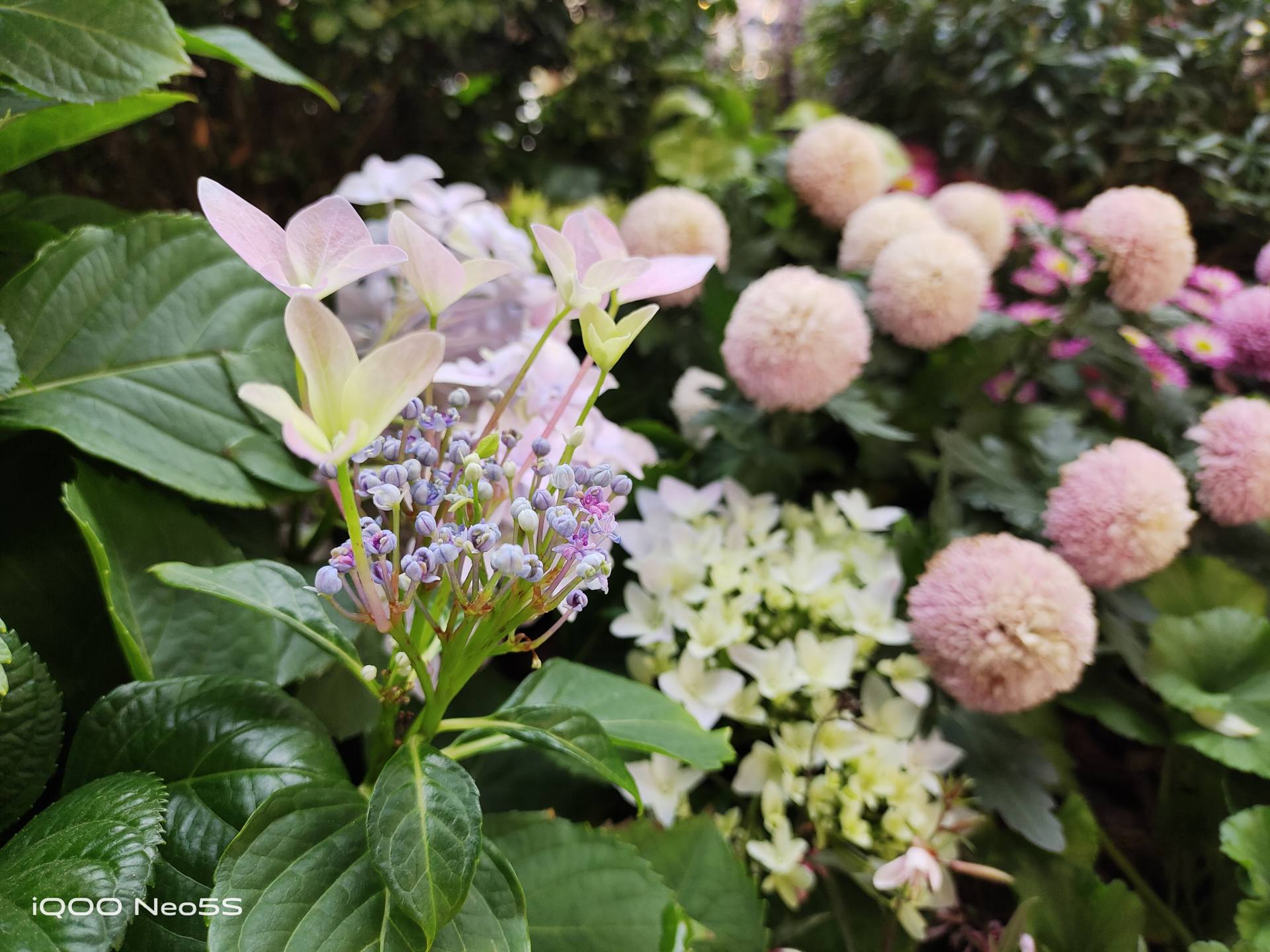 游戏拍照两不误的iqoo手机1500以内,iqooneo5快充