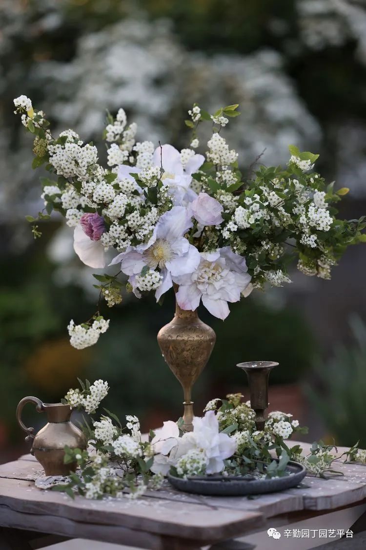 第八届园丁奖露台组《030号》洛基花园