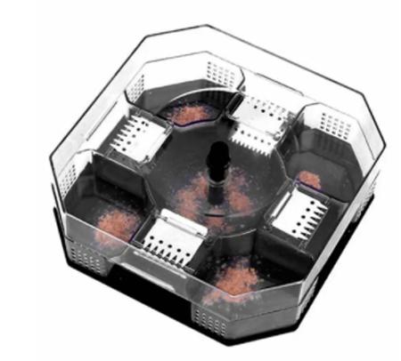 治蟑螂最有效的方法红糖,蟑螂咬了用什么药治得好