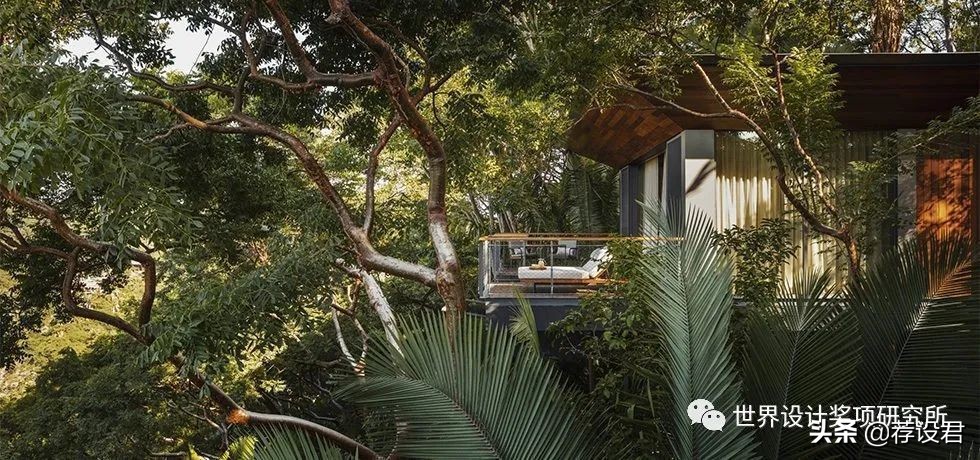 全世界酒店设计大奖,中国酒店设计拿奖