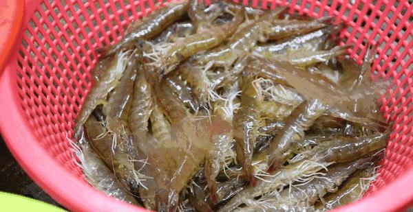 湛江藏在巷子里的美食,藏不住了隐秘的湛江美食地图曝光