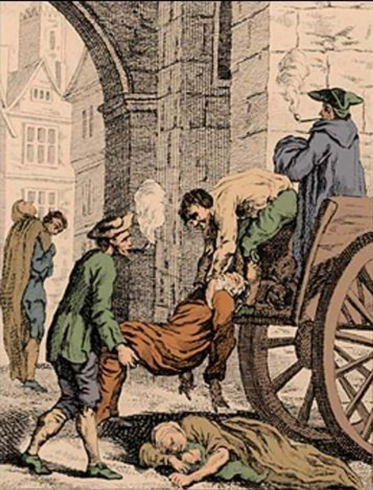 死尸版千层面：在“黑死病”期间，成为收尸人是一种怎样的体验？