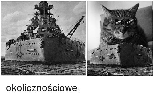 英阿马岛主权之争中方立场：英方有什么好大惊小怪的？