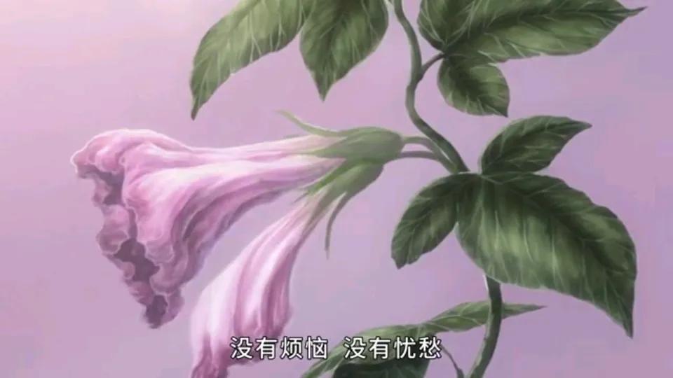 少女被寄生虫寄生成为虫族公主,女孩被寄生虫寄生六亲不认