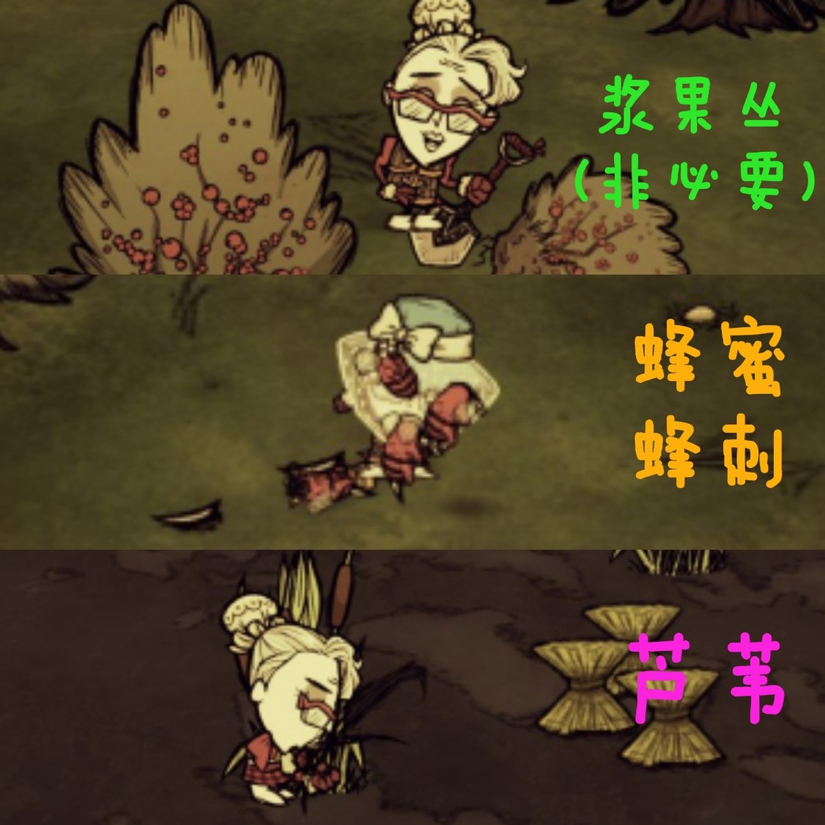 饥荒联机版老奶奶岛超级详细攻略,饥荒联机版中老奶奶种地