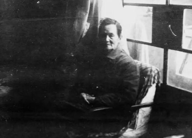 吴冠中的名人事迹,著名画家吴冠中