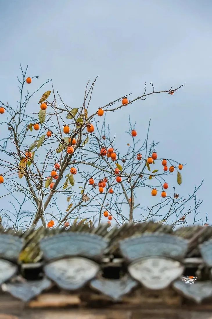宏村小众景区,宏村山野小院