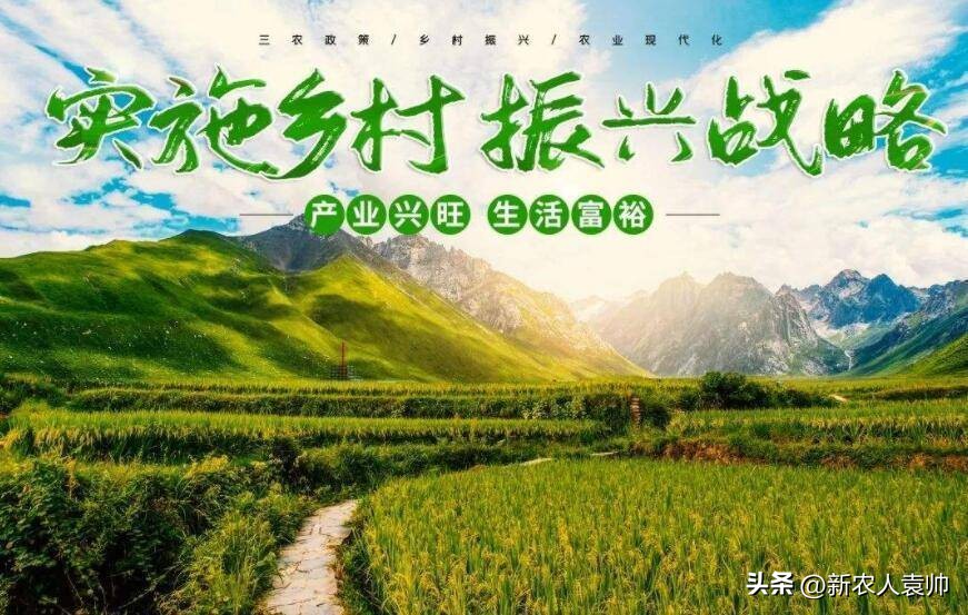 打造乡村振兴特色农产品品牌方案,一村一品推动特色农产品发展