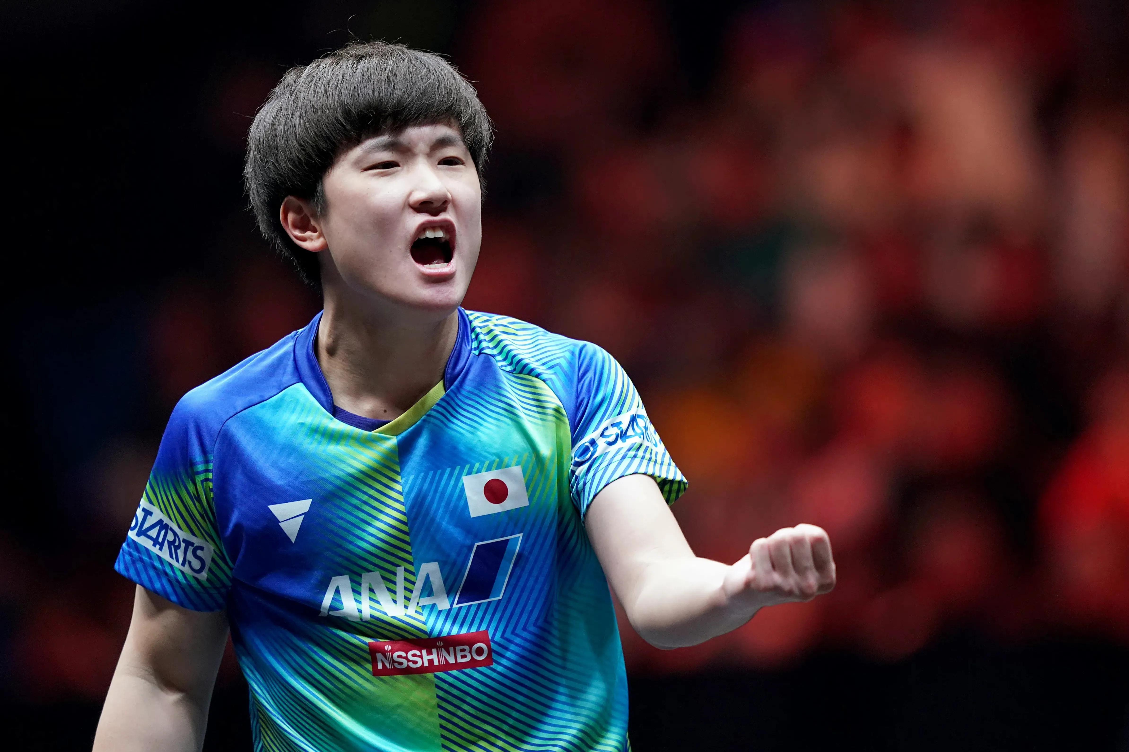 王楚钦4-0碾压张本智和,王楚钦夺冠让大家呐喊