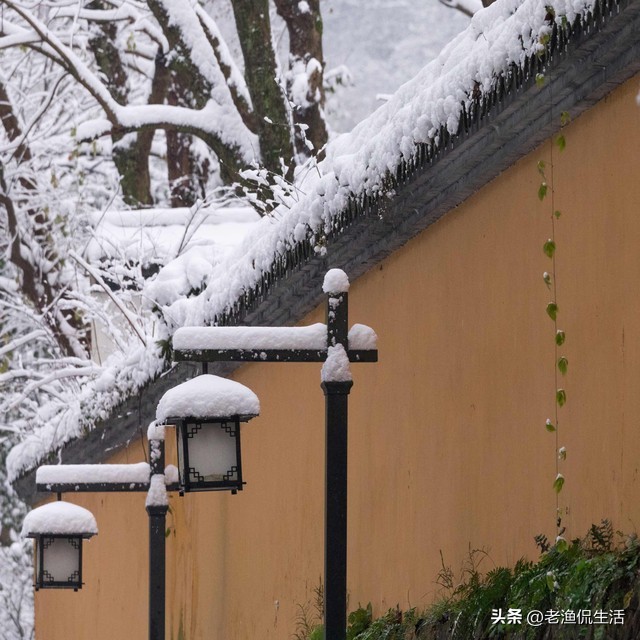 那年高考落榜，去舅舅饭店打工半年只给200块钱，多年后我感谢他