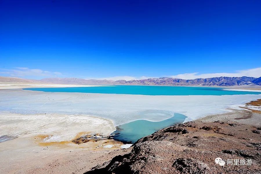 西藏最近很火的大地之树,网红大地之树