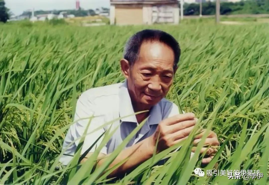没有情人的情人节下集,没有情人的情人节剧情