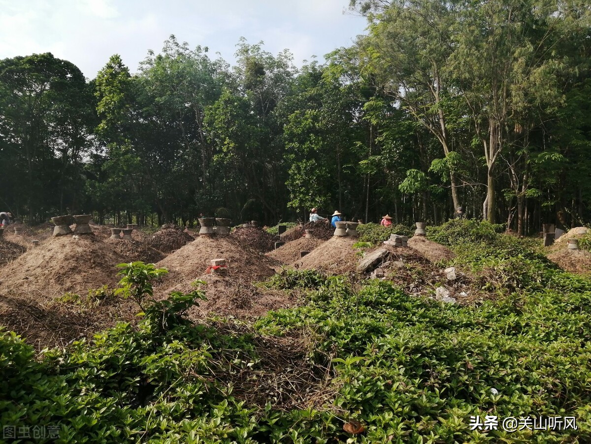 坟塌是怎么理解,坟塌了是什么征兆