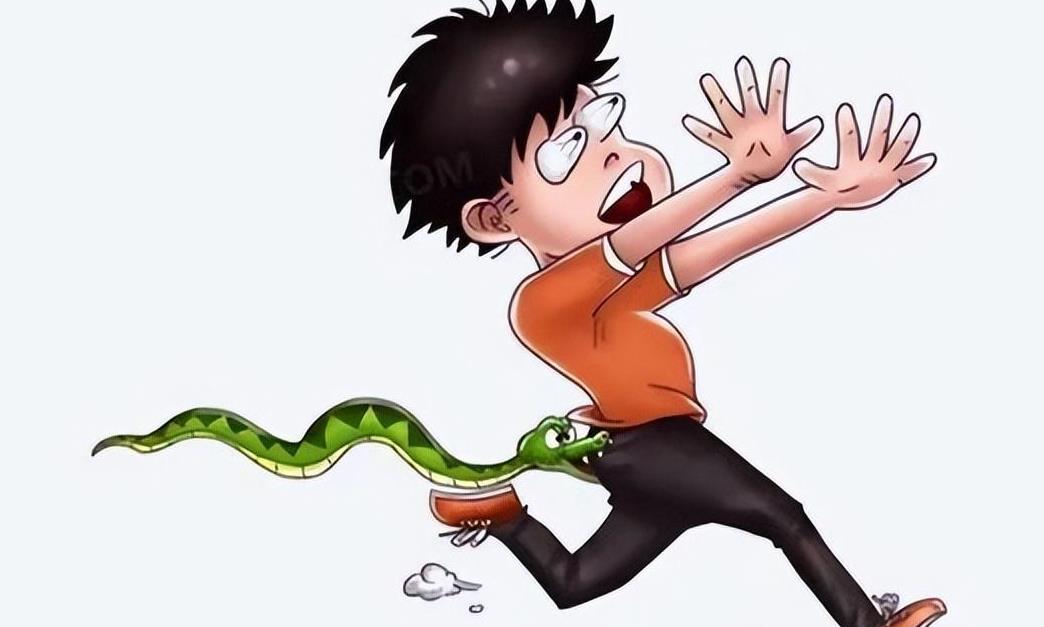 眼镜王蛇吞掉了条蟒蛇,眼镜王蛇生吞