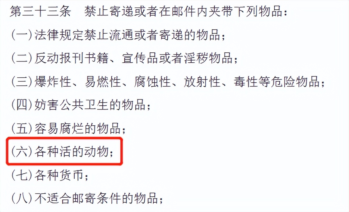 气死！拼夕夕150元买德牧，到手一看，山东德州牧鸡犬？？