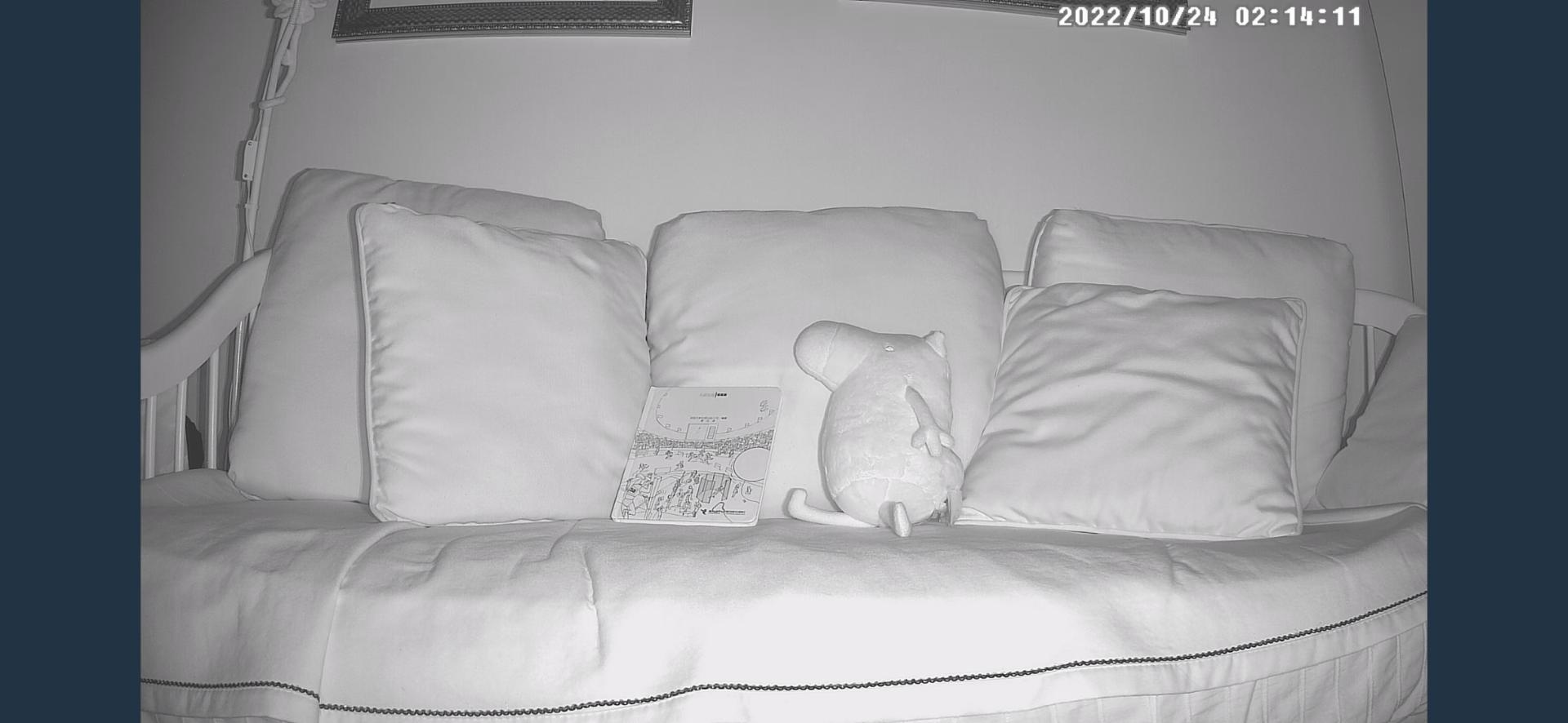 最新家用摄像头功能介绍,家用摄像头安全性排名