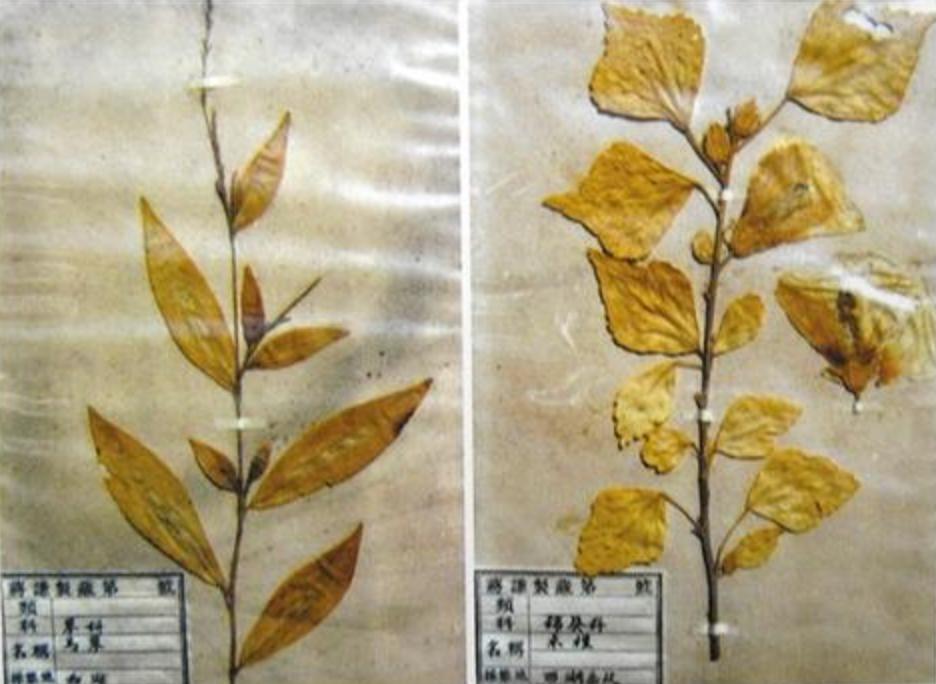 全网人设崩塌的八大网红,这些年人设崩塌的网红