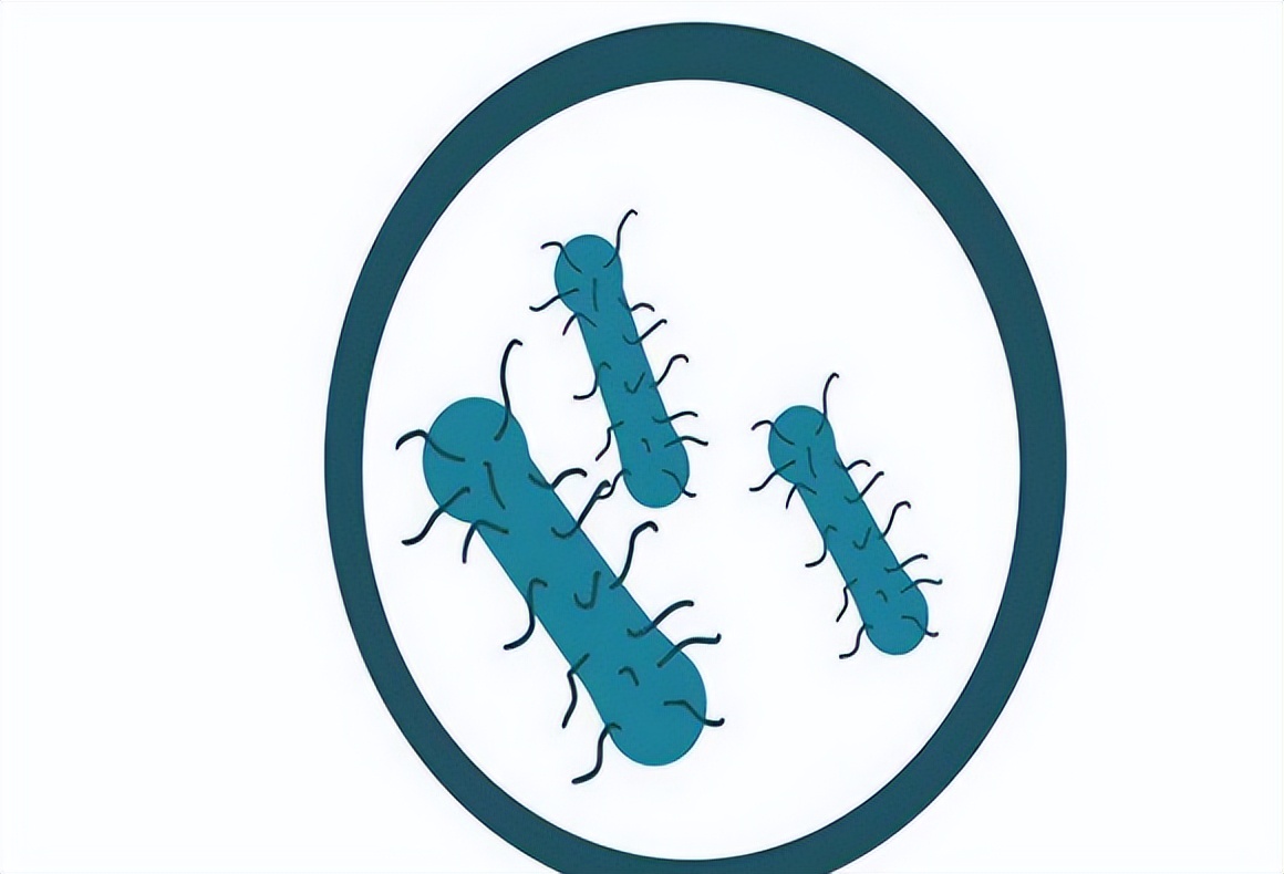 你会一直坚持“洗屁屁”吗？医生告诉你经常洗屁屁的益处，来看看