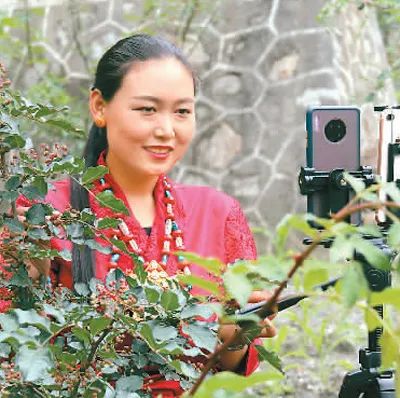 全力推动致富增收,群众致富劲头足