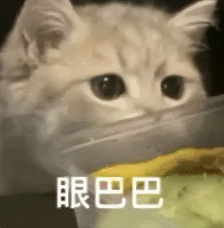 郑州春节遛娃游玩排行榜前十名,郑州冬季周末遛娃好去处