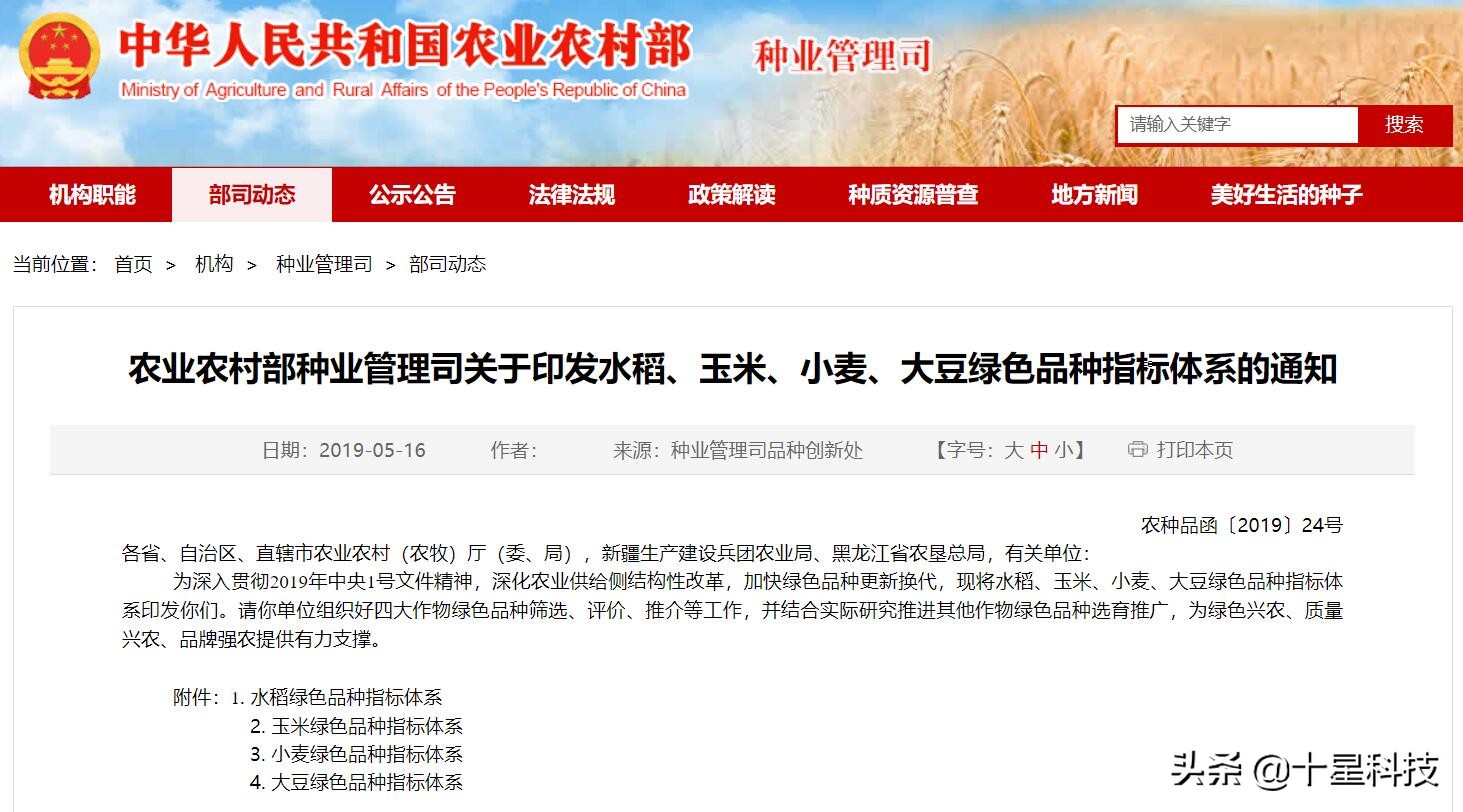 2023抗病高产小麦品种,河南抗倒伏高产小麦品种