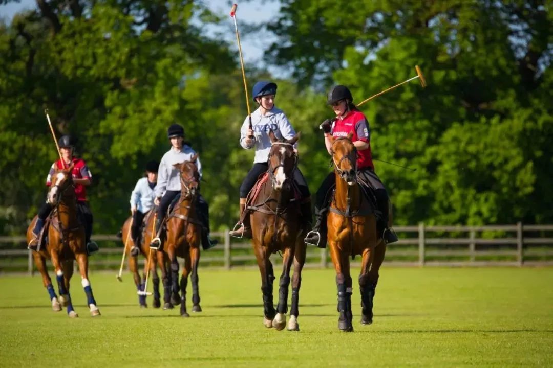 学费和成本较低的英国大学,英国十大顶级私校学费