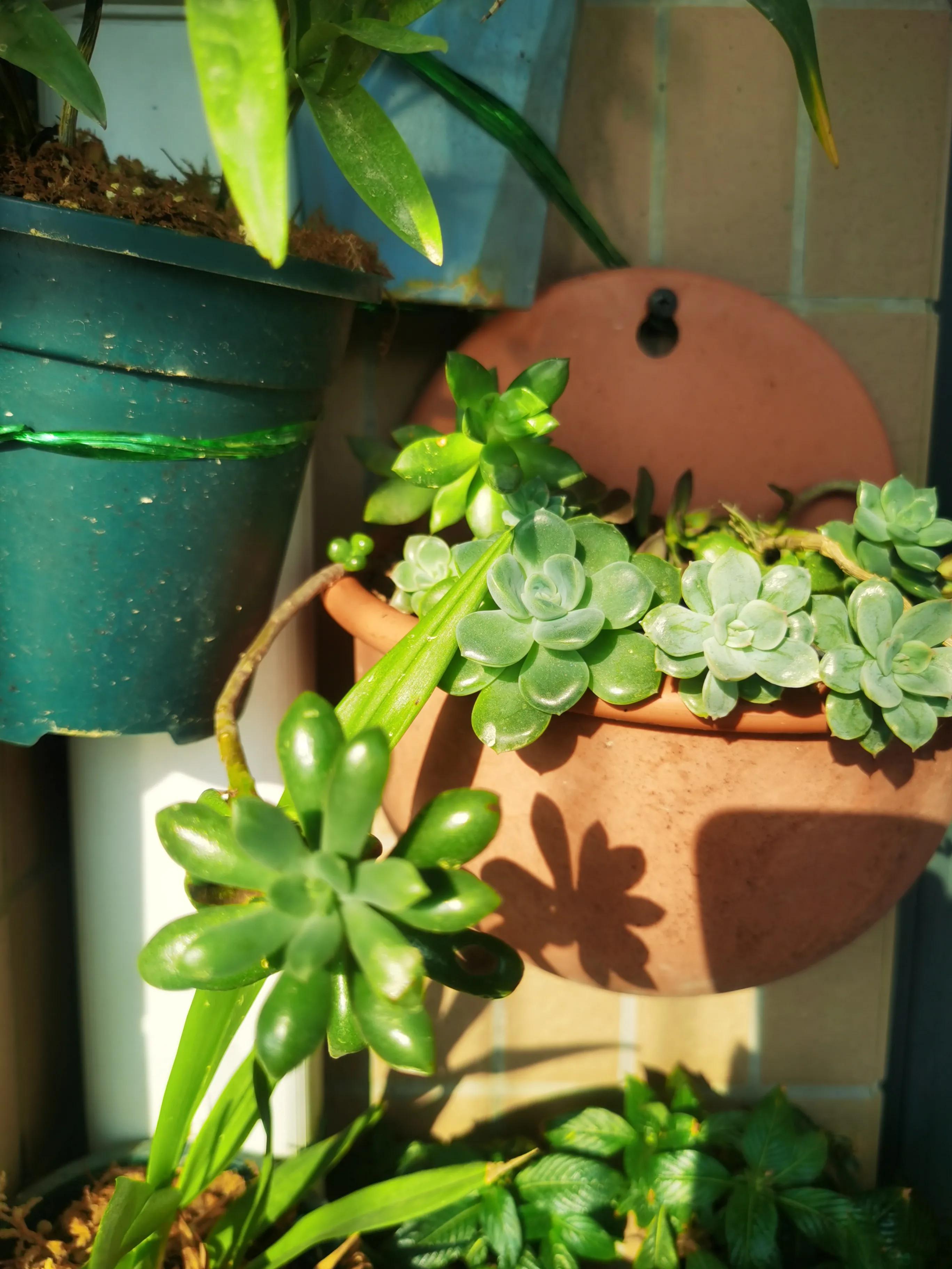 老公有了婚外情该怎么做,老公有了婚外恋情该怎么办