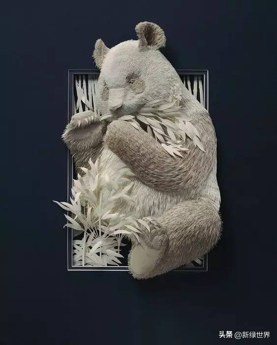 纸艺作品绘画,千变万化的纸艺术作品