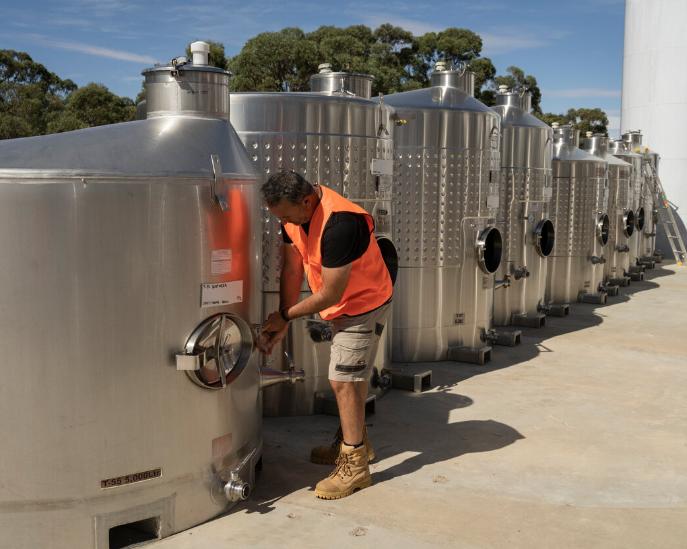 澳大利亚葡萄酒行业陷入危机,澳大利亚葡萄酒为什么反倾销
