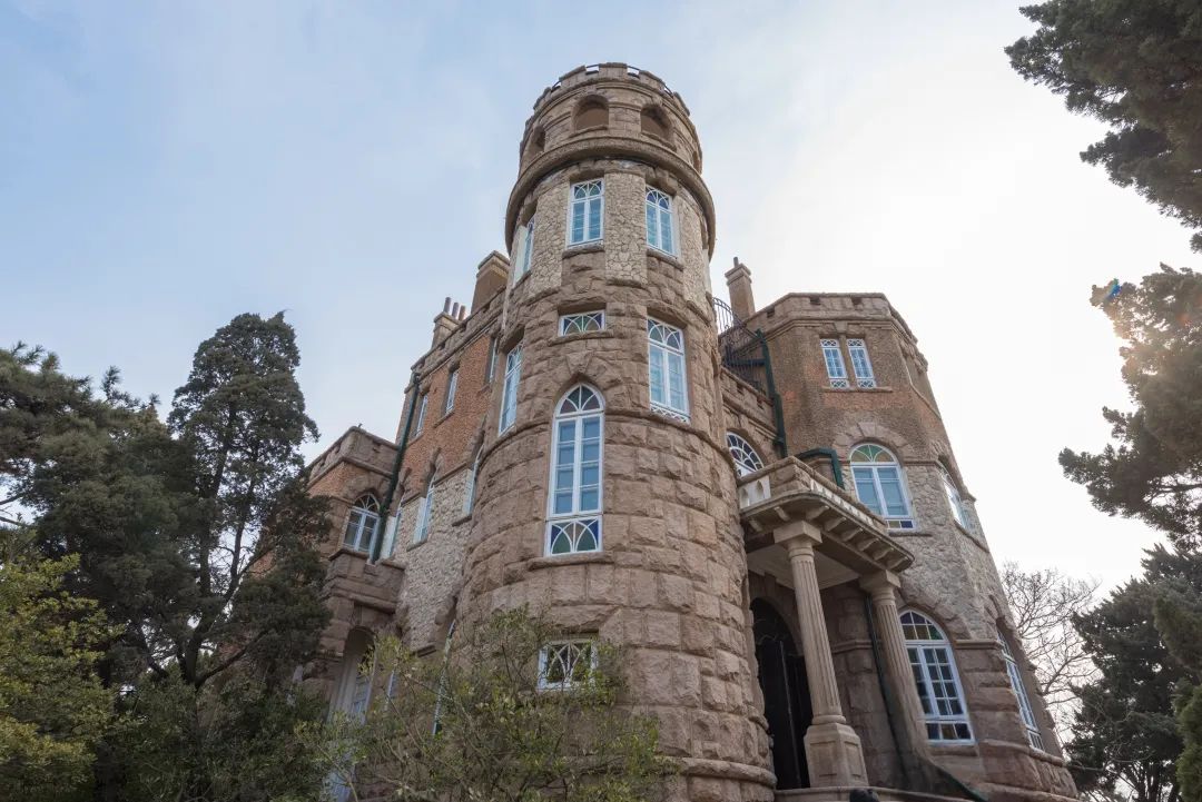 青岛绝美的一条路,青岛都是树的风景路