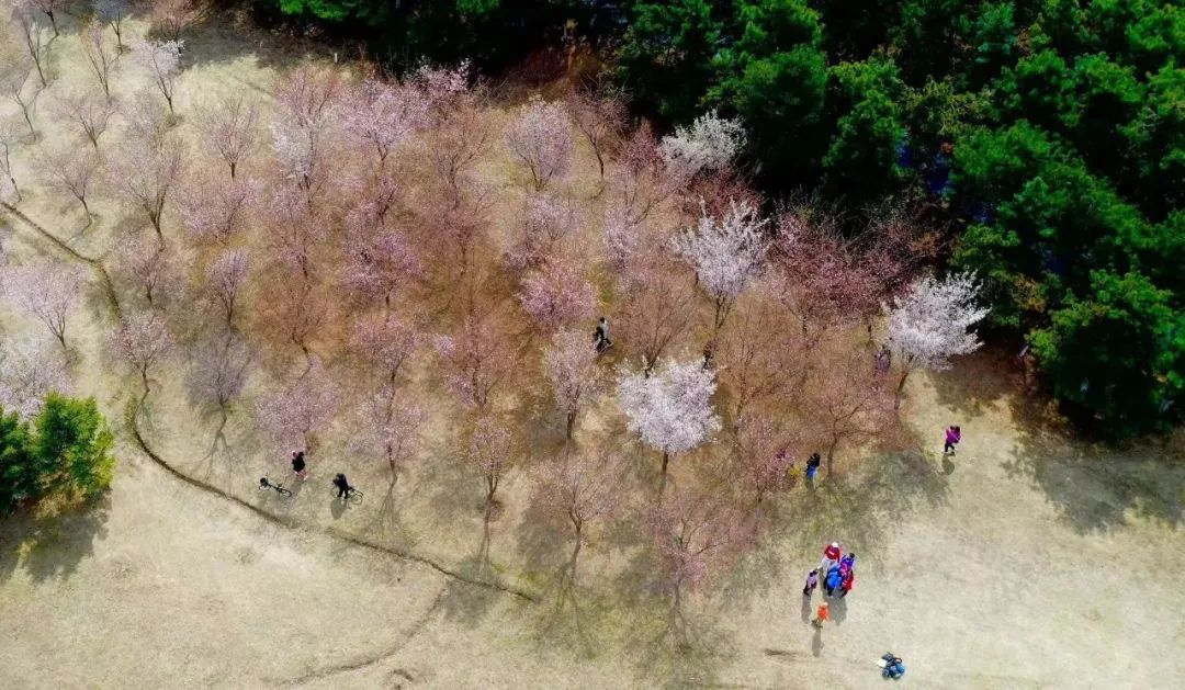 citywalk用脚步丈量城市,开启随性自由的citywalk