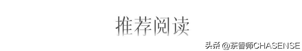 茶香师说丨每个新的气味都是一场赌局