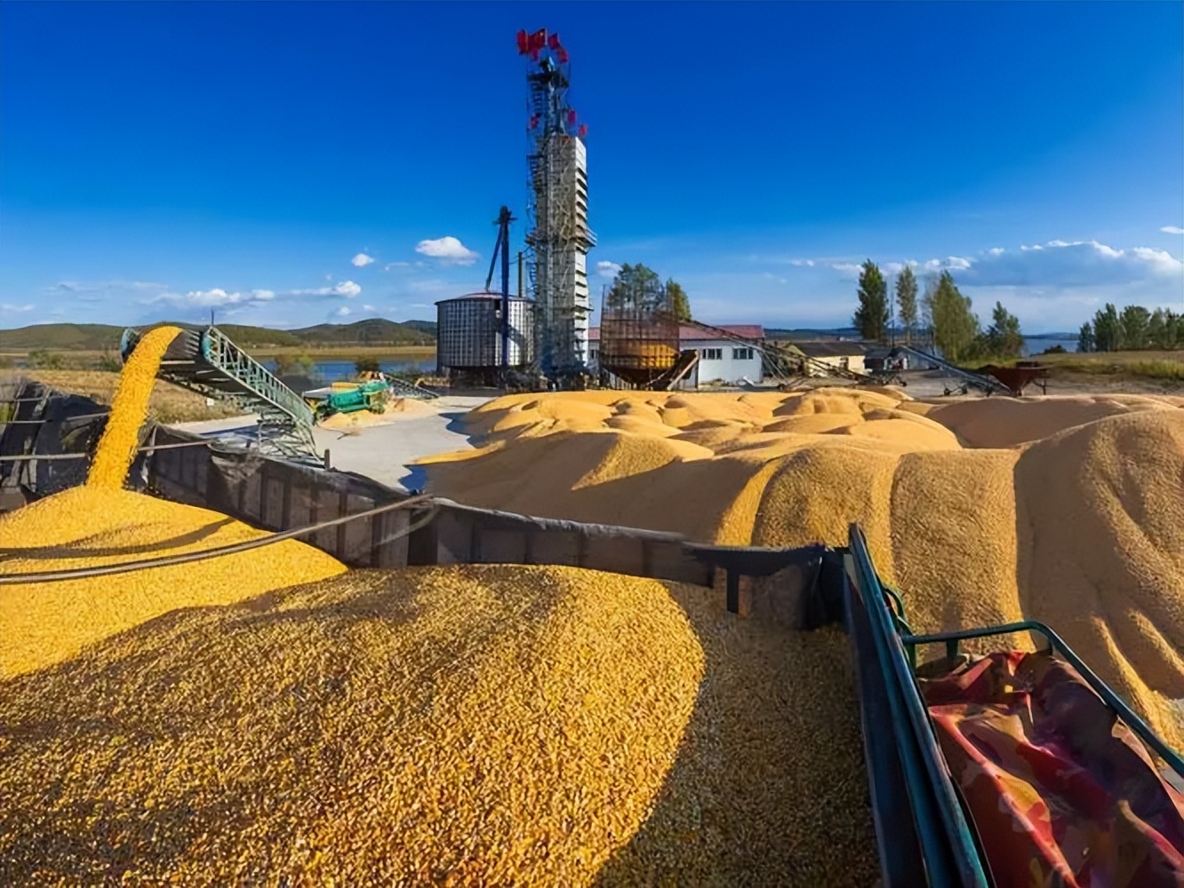 美国粮食给中国带来的需求,为什么美国宁愿赔钱也要出口粮食