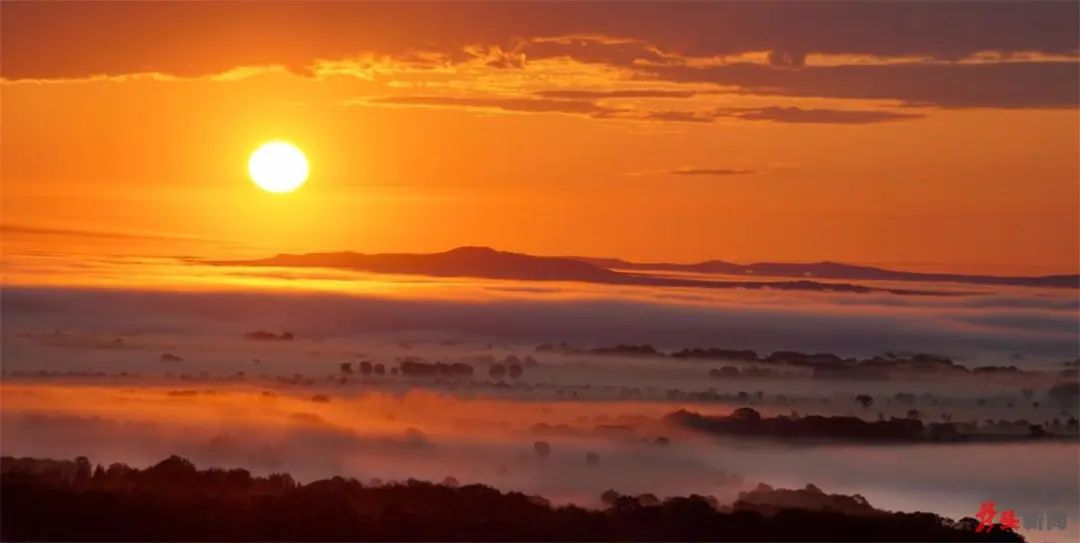 湿地可以开发什么旅游项目,黑龙江旅游必去十大湿地排名