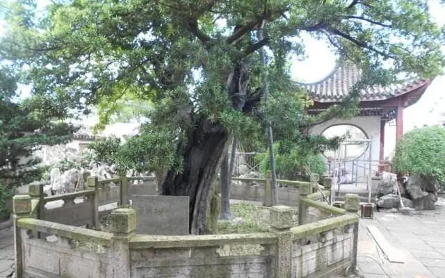 金山区有哪些古镇可以游览的地方,上海金山古镇介绍