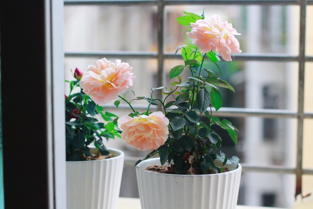 长亭外古道边是什么歌,长亭外古道边芳草碧连天歌曲名