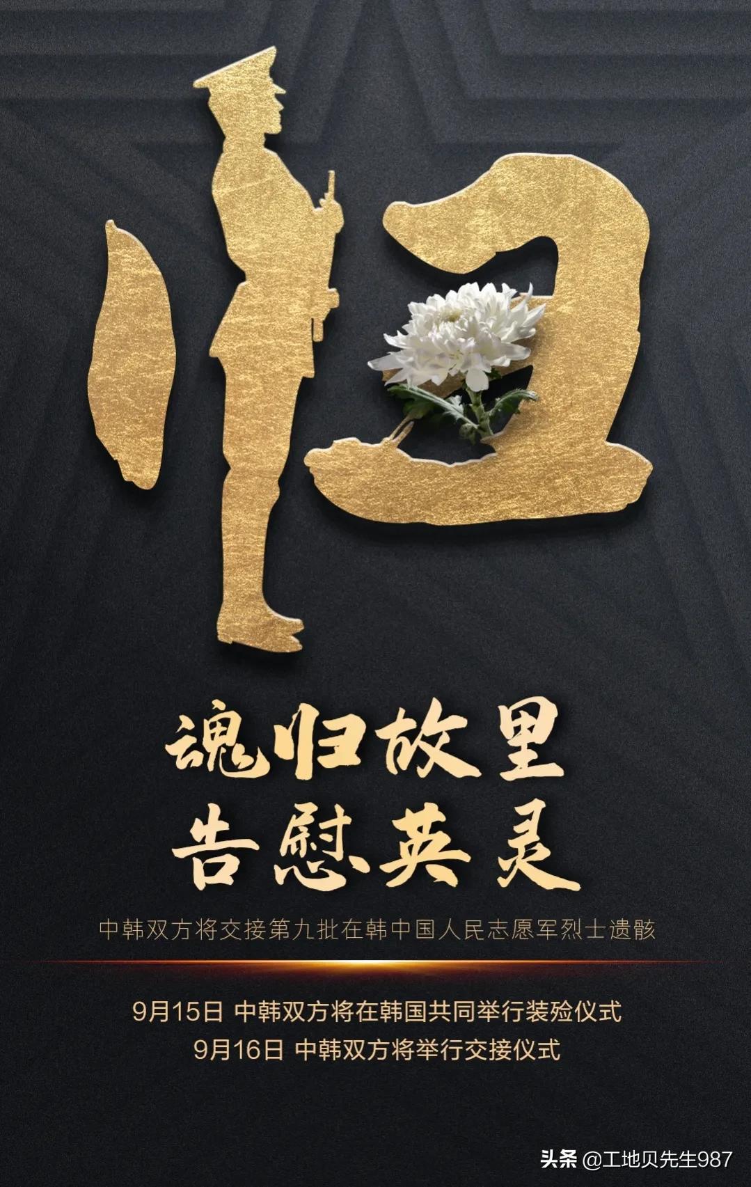 最近中国迎来的好消息,今天中国有什么新消息