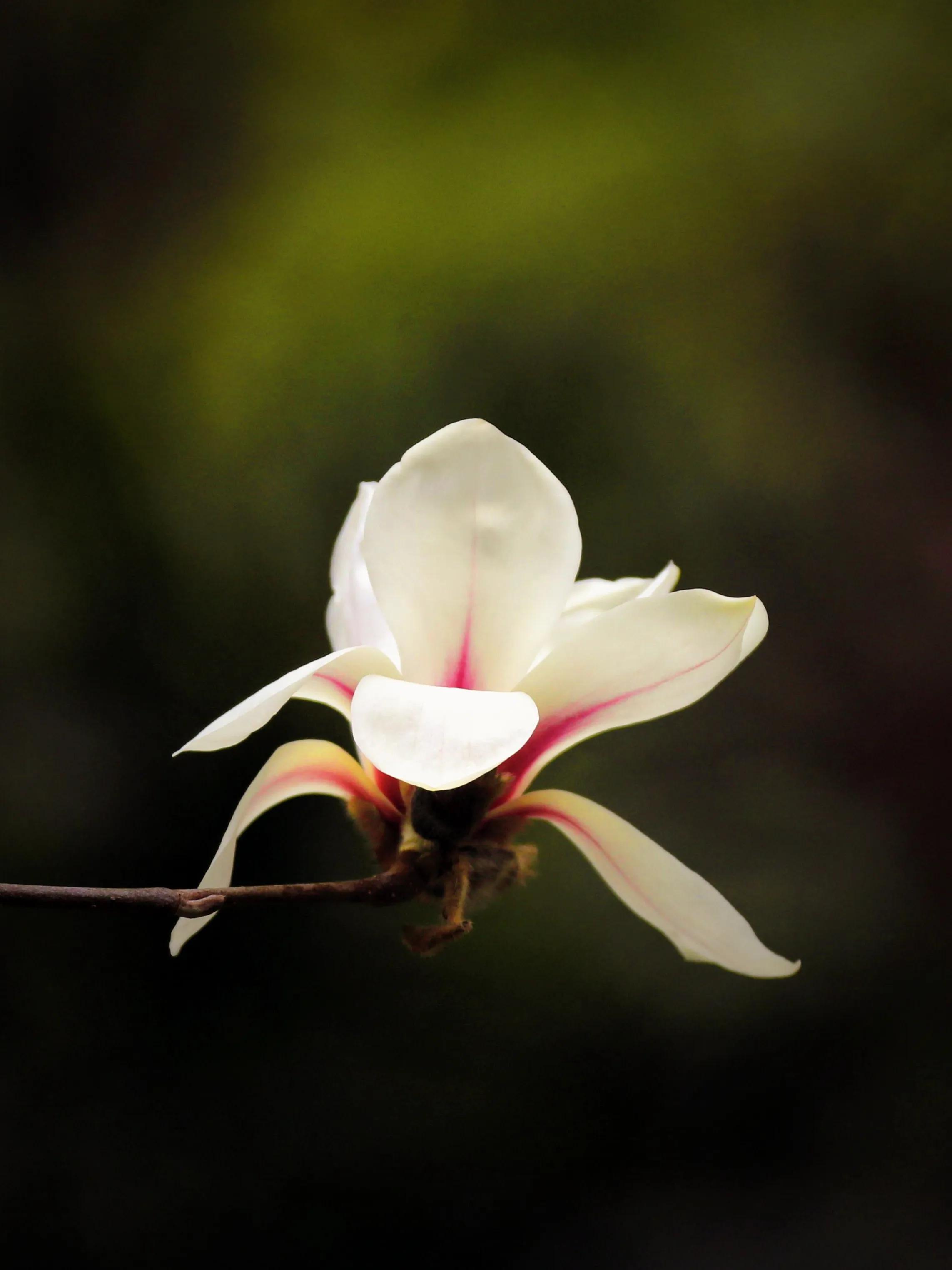 27届全国摄影艺术展评选结果组照,第二十八届全国摄影艺术展览征稿