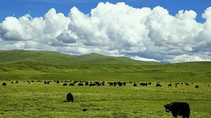 第一次当导游应该选择哪家旅行社,你见过最良心的旅行社