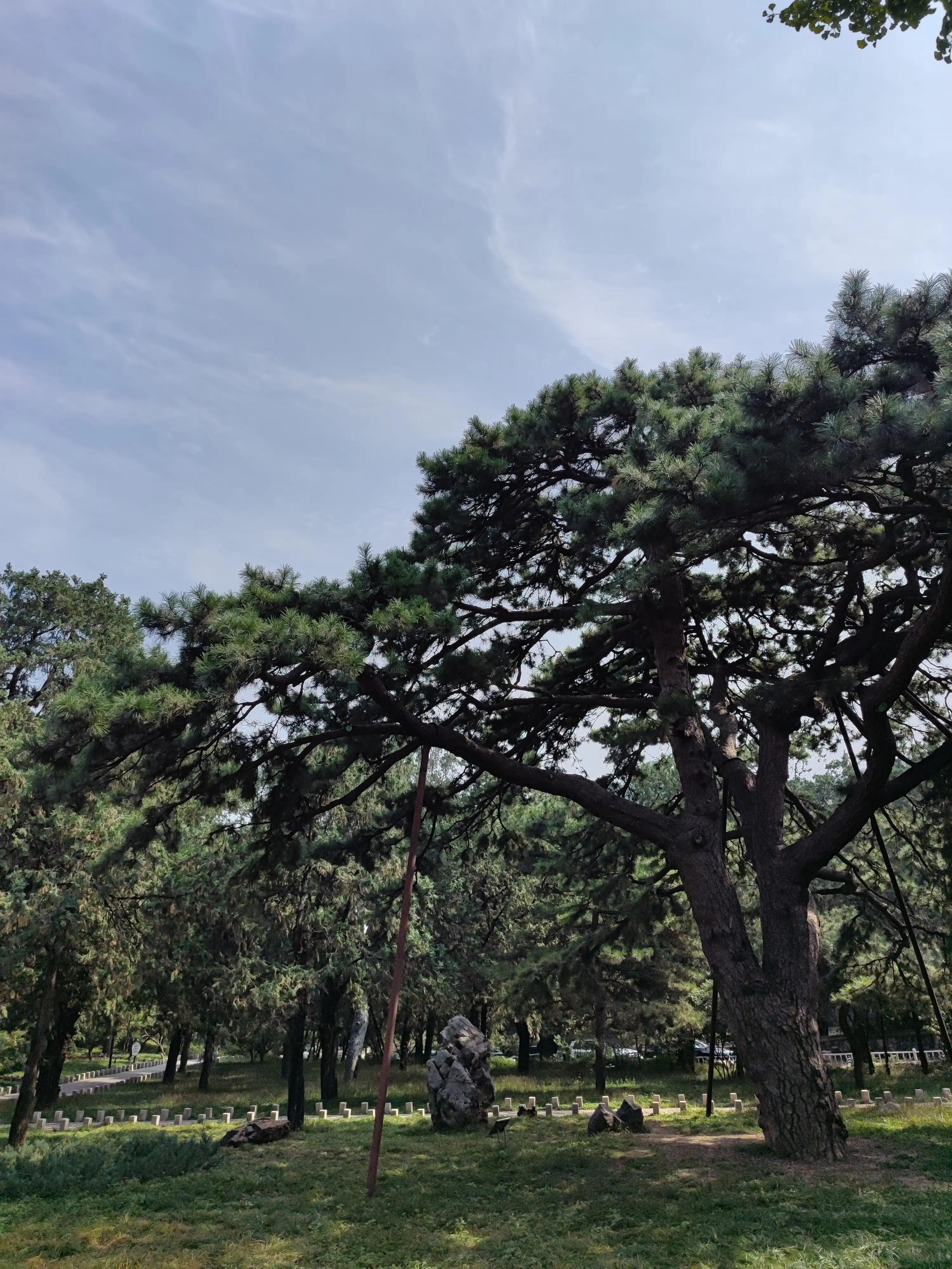 鍖椾含棣欏北鍗佸ぇ鏅偣鍥剧墖,鍖椾含棣欏北鍏洯鏅偣