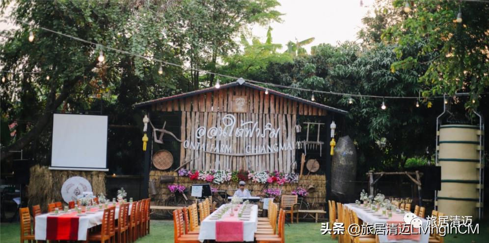 泰国清迈农场美食,清迈美食攻略必吃水果