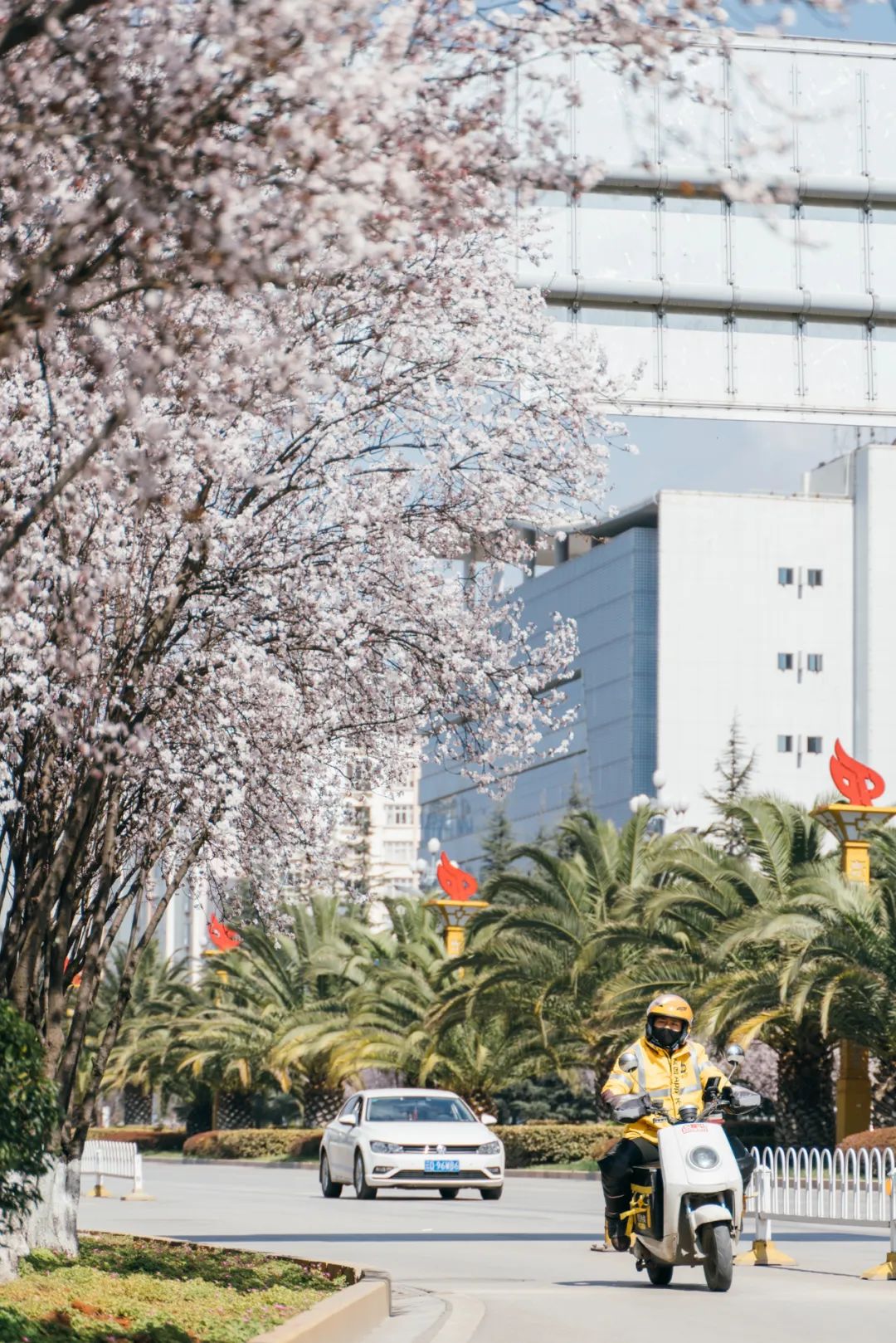 中国十大养老宜居城市,最宜居的十个养老城市