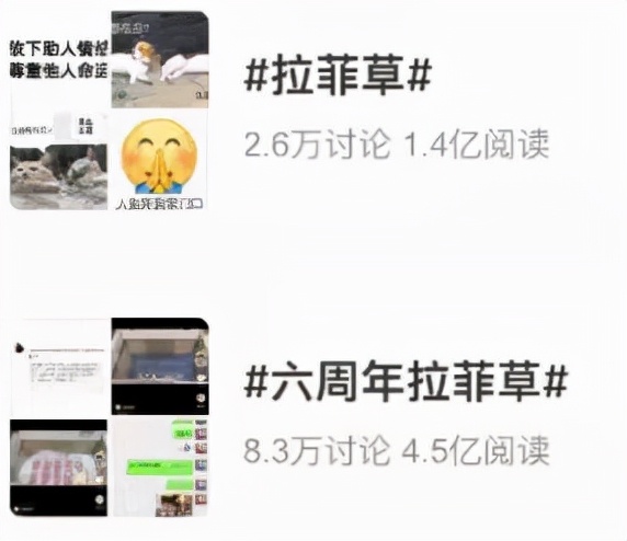 拉菲草后续评论,拉菲草热门视频